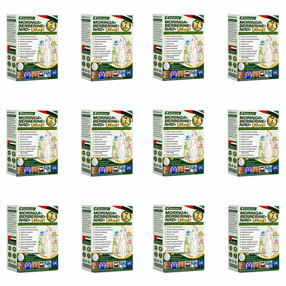 🎁Official Store | 🍋 Solaroza® Moringa & Berberine 10-IN-1 Advanced Nano Microneedle 1 Patch (Once Daily, visible changes in 7 days) ✅ Obesity, Diabetes, Sleep Apnea, And Joint Issues