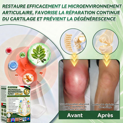 🎁Official Store | 🍋 Solaroza® Moringa & Berberine 10-IN-1 Advanced Nano Microneedle 1 Patch (Once Daily, visible changes in 7 days) ✅ Obesity, Diabetes, Sleep Apnea, And Joint Issues